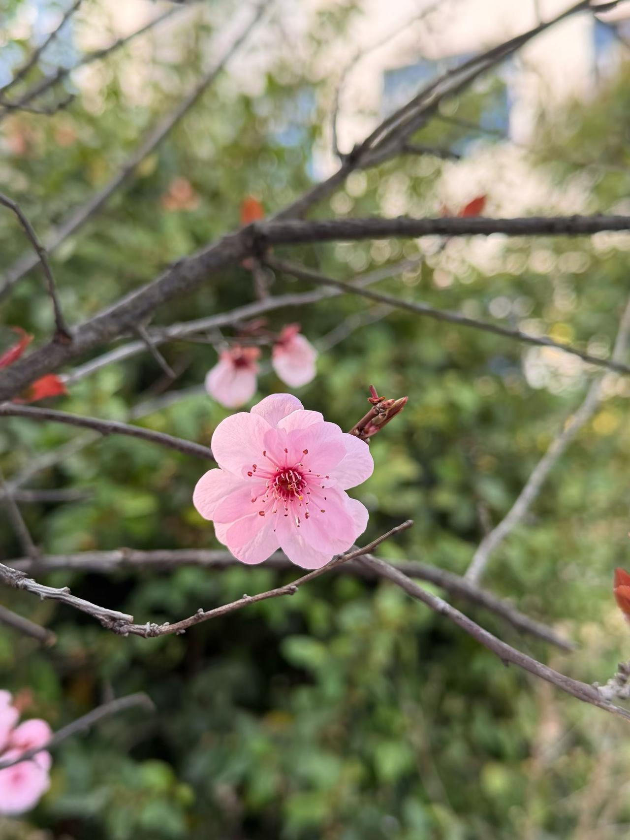 终于决定不想干了，哪怕还有一个月就满一年，我也不再想忍受这种不把人当人的日子
