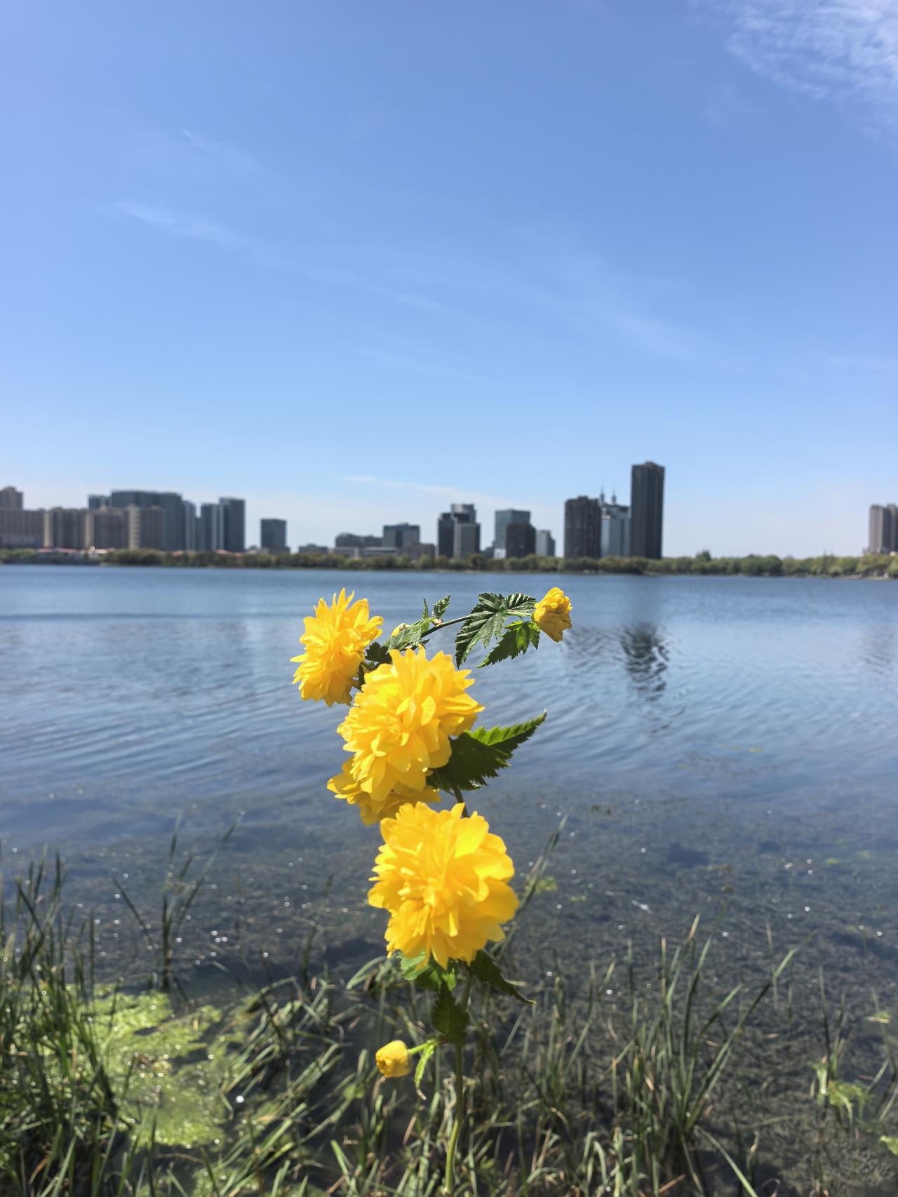 我越发觉得，自媒体是来拯救这个世界的
 
我越来越感慨，自媒体真的是来拯救这个世