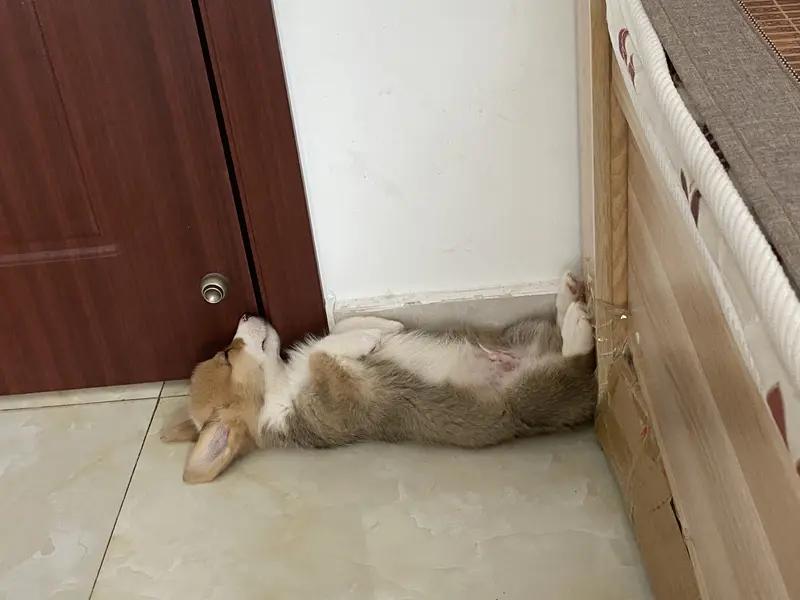 睡得长和睡得好，哪个更重要？这就像在纠结是吃得多还是吃得精。
有人觉得睡得久身体