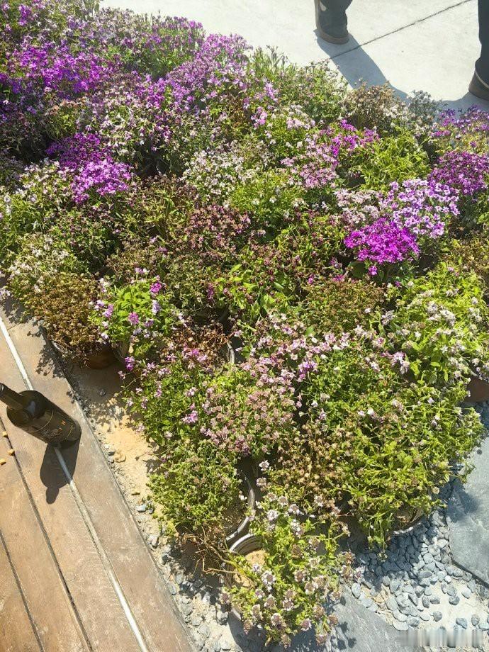 火锅店🍲真好看啊~花花🌸 一分钟精选视频扶持计划