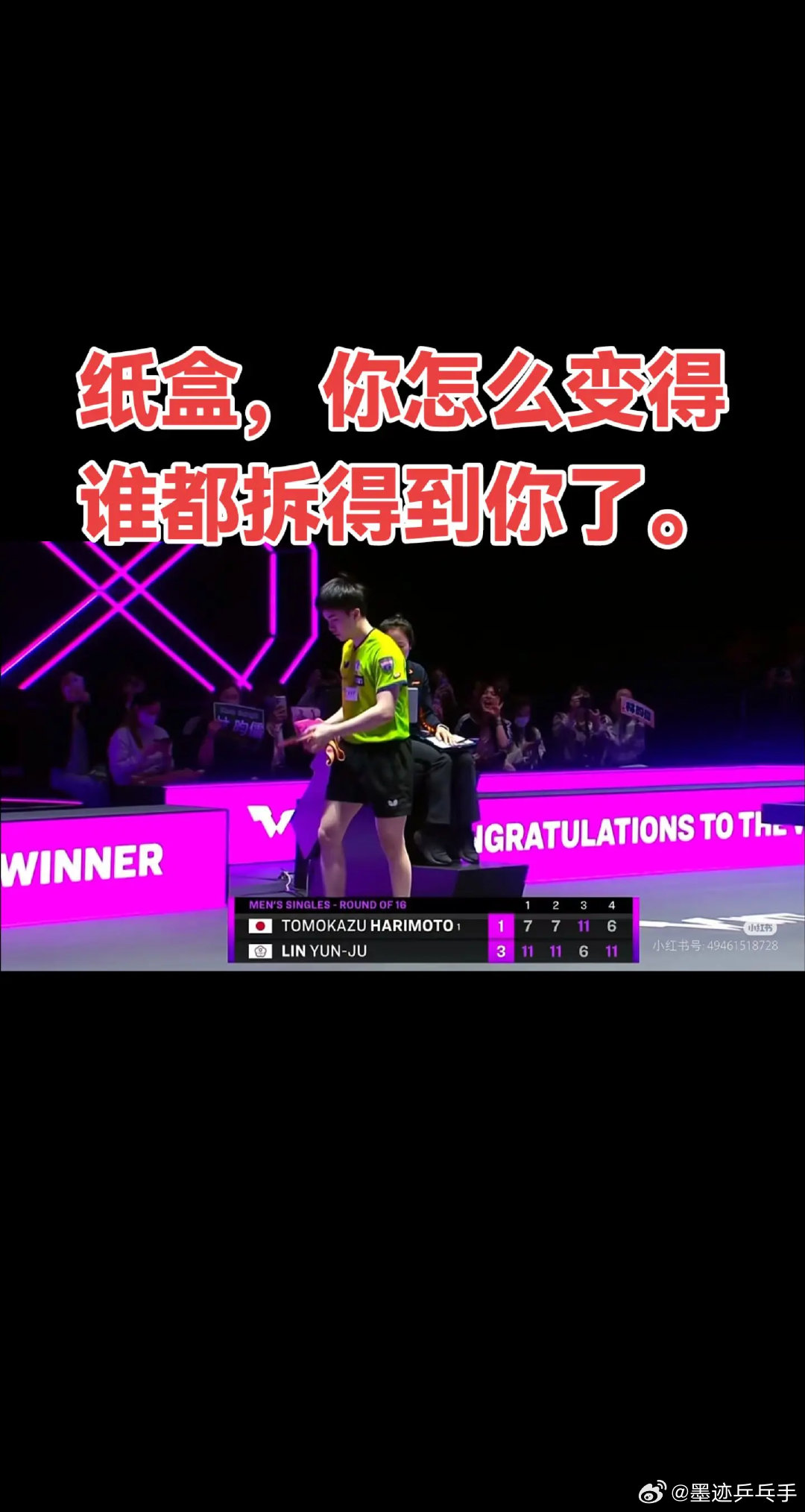 乒乓球比赛 台林涨球了太多太多。今天台林的反手真的是无敌。太牛了今天。打的太猛。