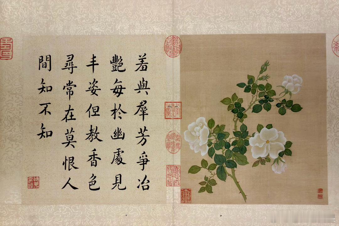 敕几清宴，康雍乾三朝皇帝与词臣书画特展，嘉德艺术中心。图1-4 邹一桂 花卉册。