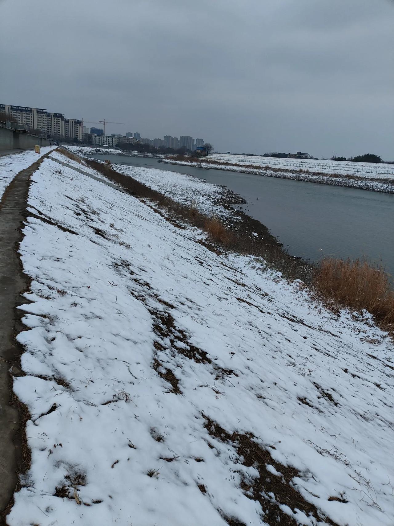 喜欢今年首场雪，青弋江东岸美丽的雪景如画。