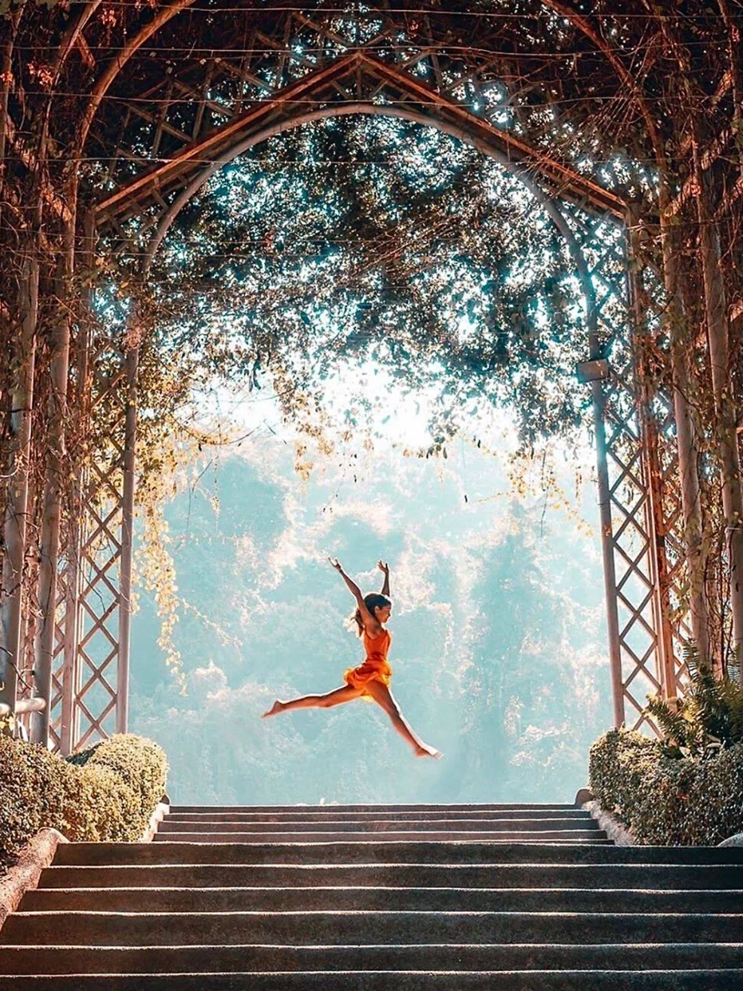 清迈🇹🇭来这个植物园打卡通往天堂的阶梯！