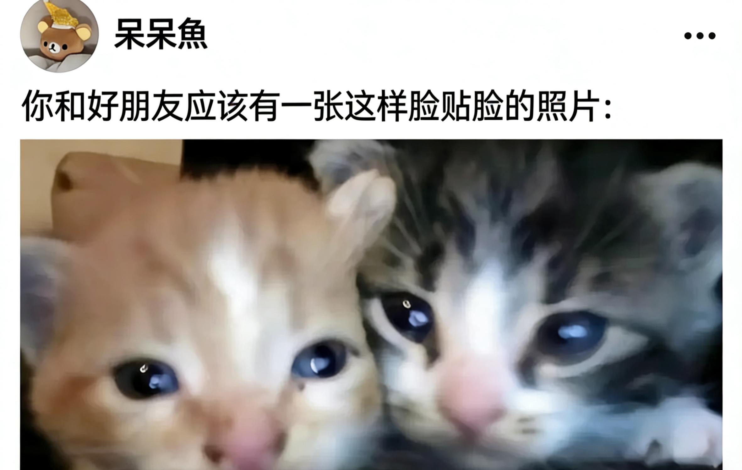 规海组就这样贴贴