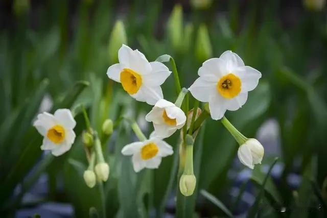 生肖羊最开心的事，那肯定离不开安稳惬意的生活。对属羊的人来说，和家人围坐在一起吃