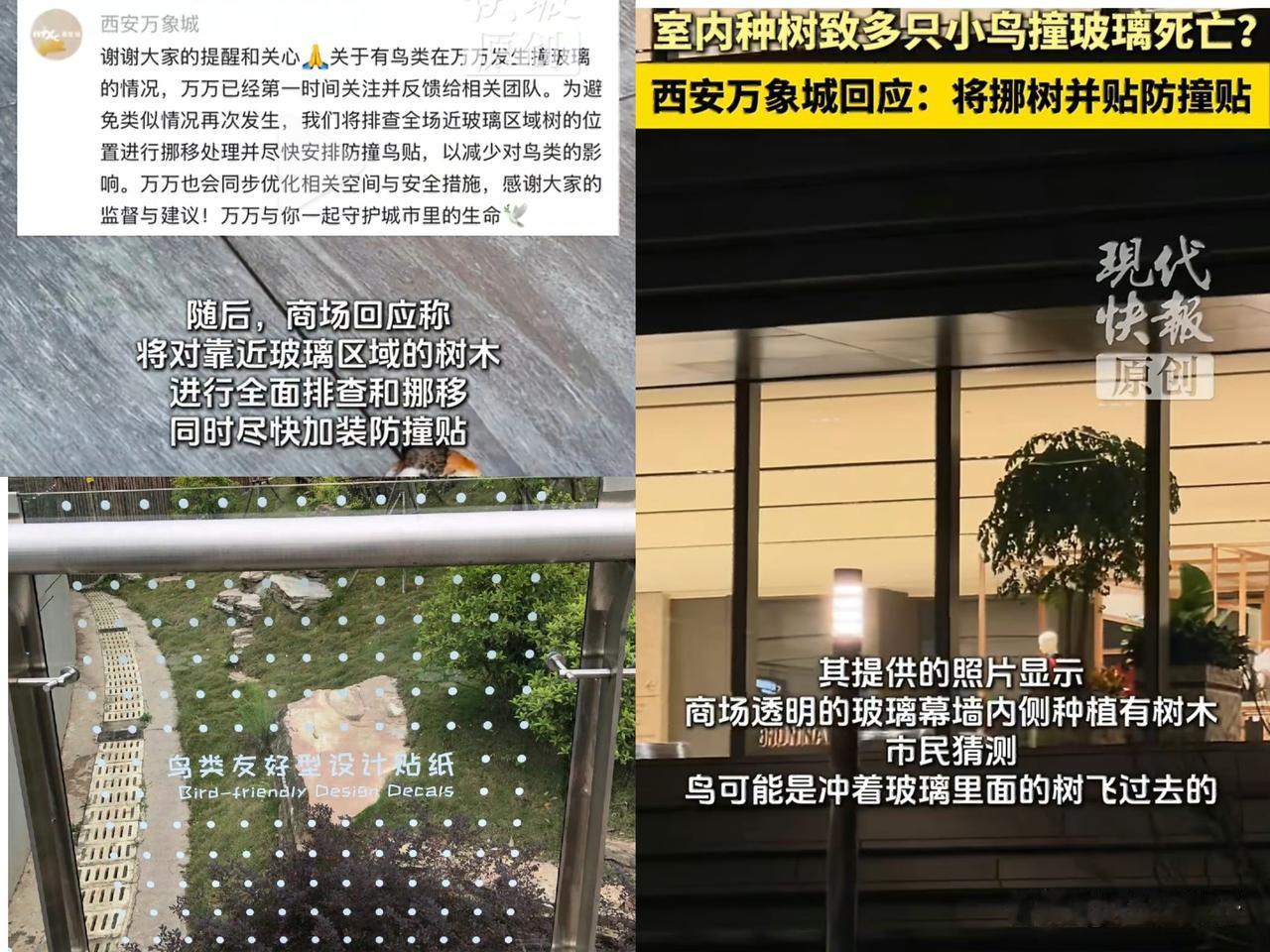 2026年2月8日下午，西安万象城商场外发现约5至6只小鸟因撞击玻璃幕墙死亡。现