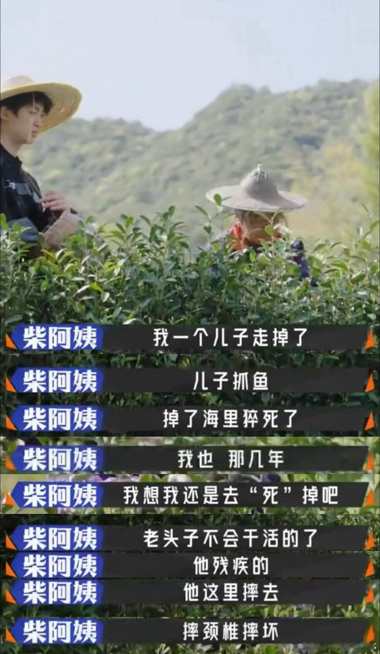 陈曦然演出了麻绳专挑细处断慢慢才明白，极致的痛苦从不会大吵大闹。陈曦然走进茶园贴