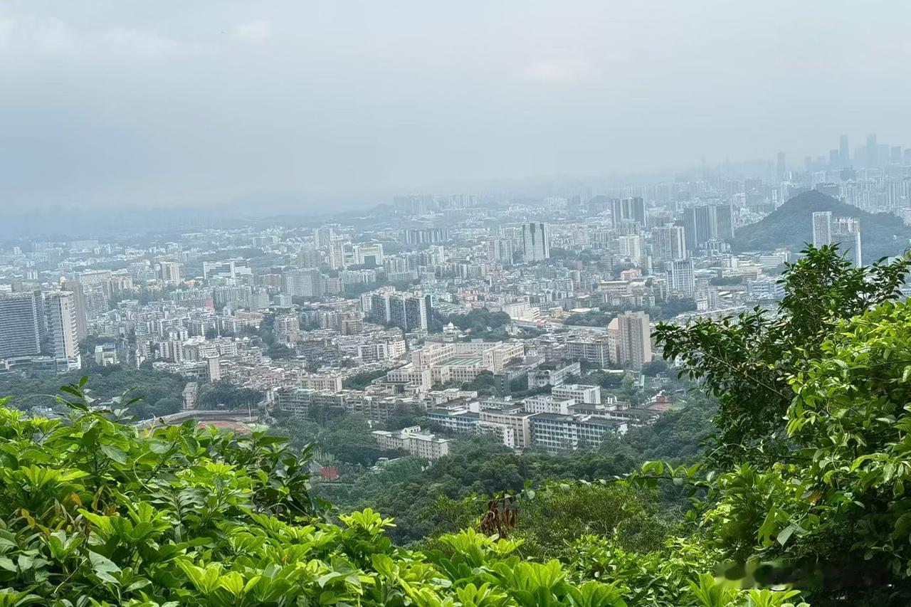 白云山顶风光无限好
广州浪漫打卡
台风红霞静悄悄地走了。
广州天气也迎来一阵阵清