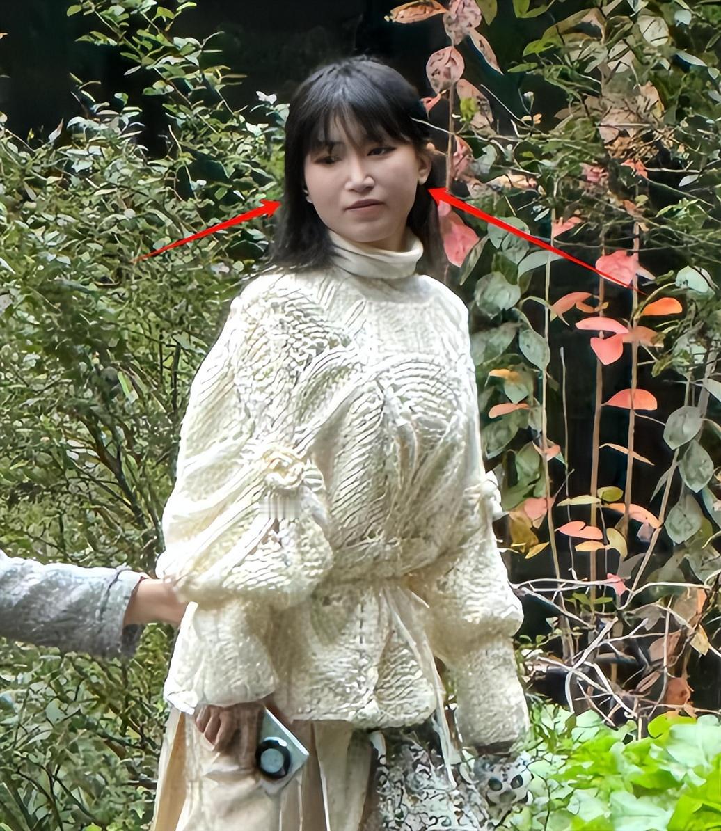 34岁李子柒生图曝光，脸部浮肿，鼻子肿大，身材臃肿像老阿姨！

李子柒回归之后，