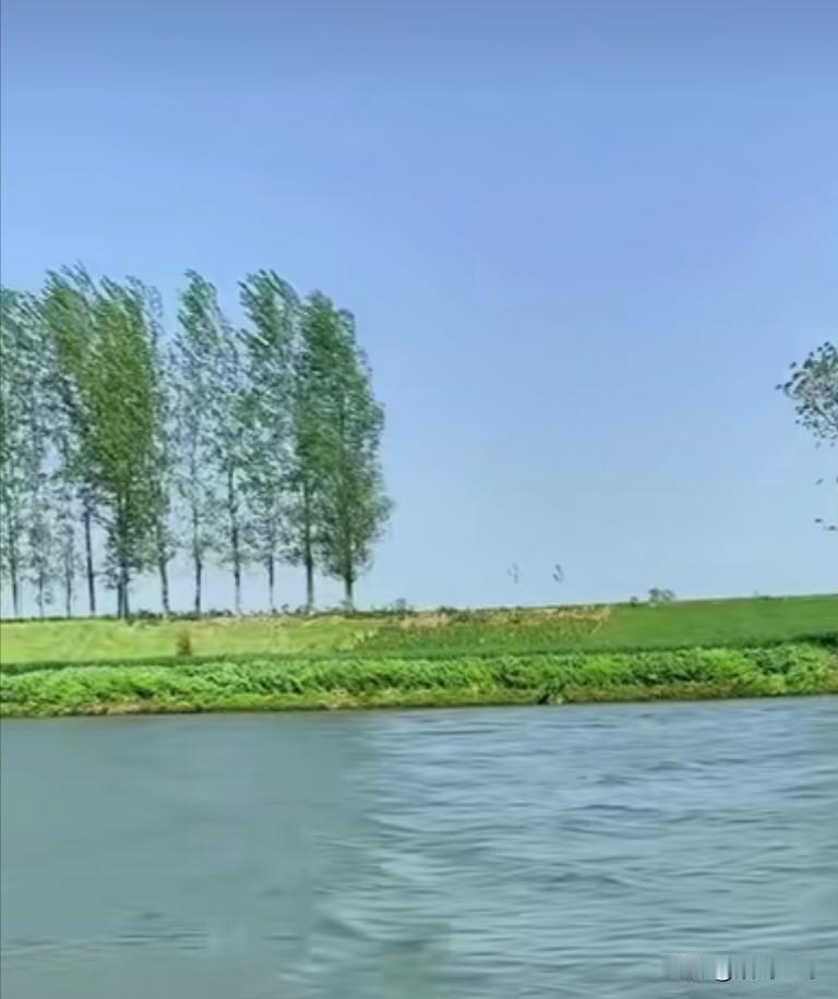 吃苦受穷打基础。就算你不去认真思考与严谨辨析那个时候打下的基础与改革开放新时代的