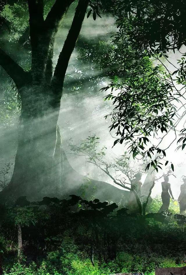 普洱景迈山古茶林，成功列入世界文化遗产名录，让这片隐匿于西南群山的茶林以“人与自
