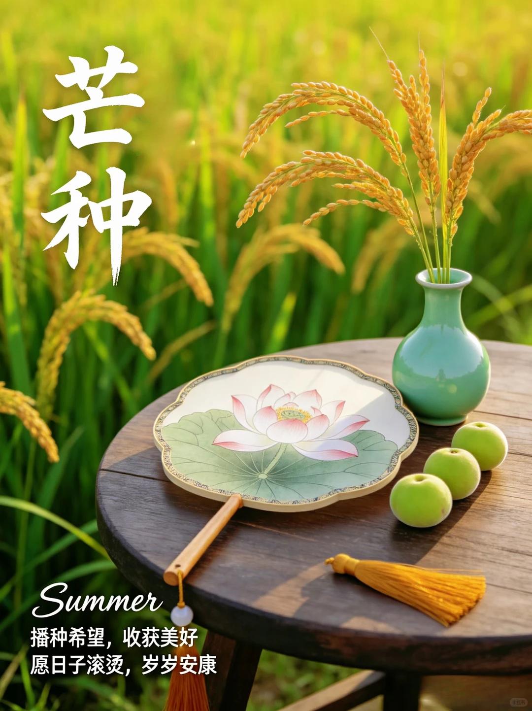 暮春的温柔落幕，盛夏的热烈登场。 芒种过后，白昼渐长，暑气渐盛。 青梅煮雨，栀子