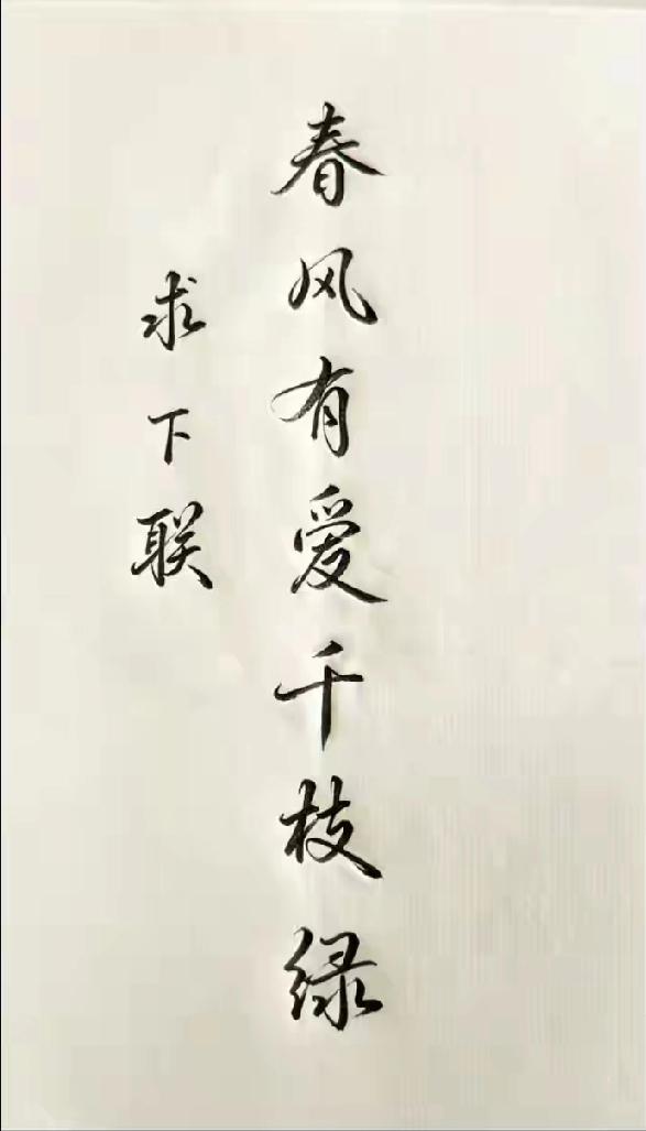 这下联空缺了三年之久，至今无人能对，走过路过的大神帮忙对对下联。
  下联 对联