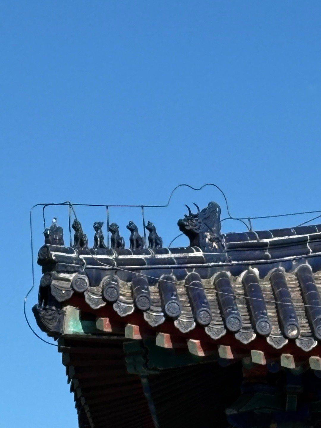 冬日北京天坛 北京你好 摄影