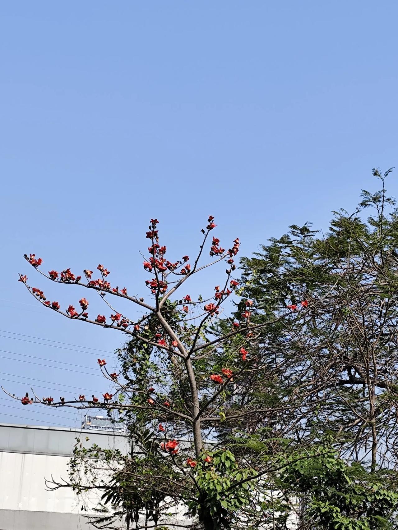 我去上海出差，见到老同学，才知道上海才是国际大都市，咱广州还不行。
我们晚上去一