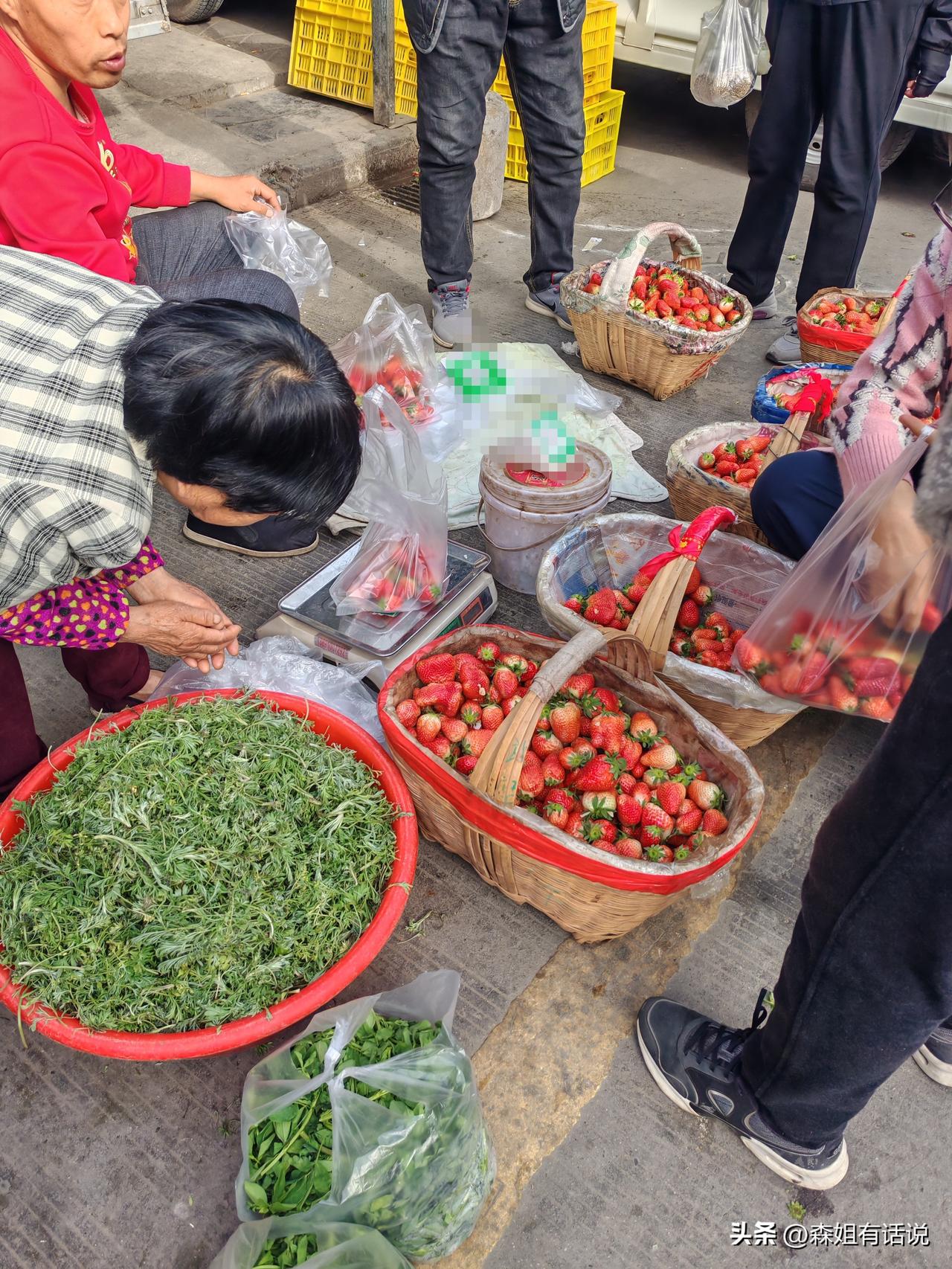 为啥冬季盆盆草莓不好卖？今天我算是知道原因了。这是4月3日上午，我路过西安一处早