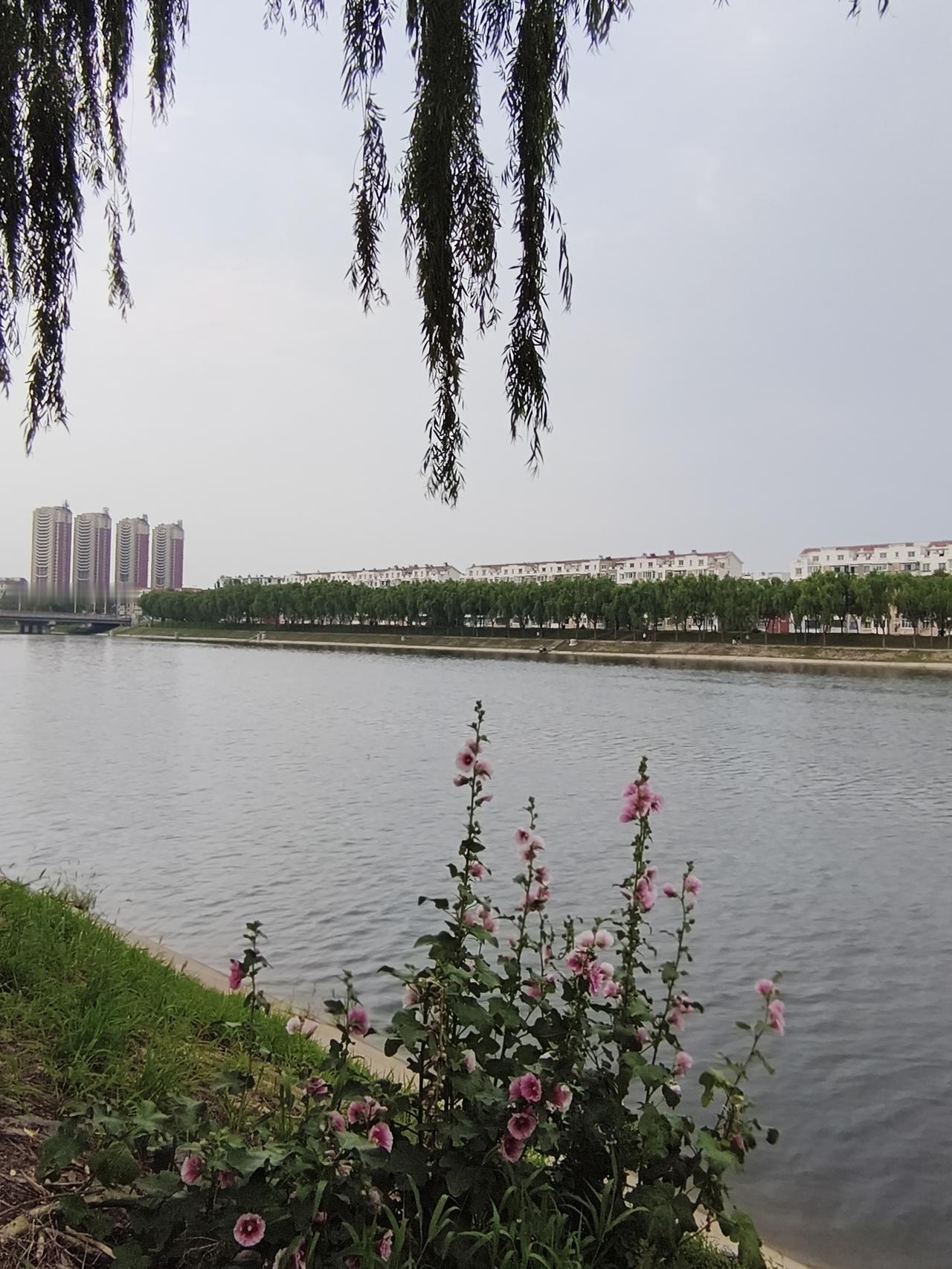 县里的闺蜜刚才给我打来电话，告诉我她近距离目睹了一场车祸，把她吓堆了。她和同事下