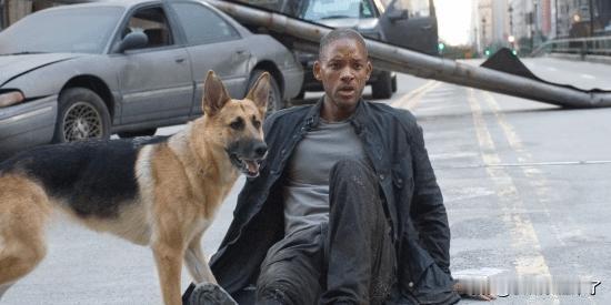 距离2007年威尔·史密斯在末世荒原中穿梭的经典画面已经过去将近20年，《我是传