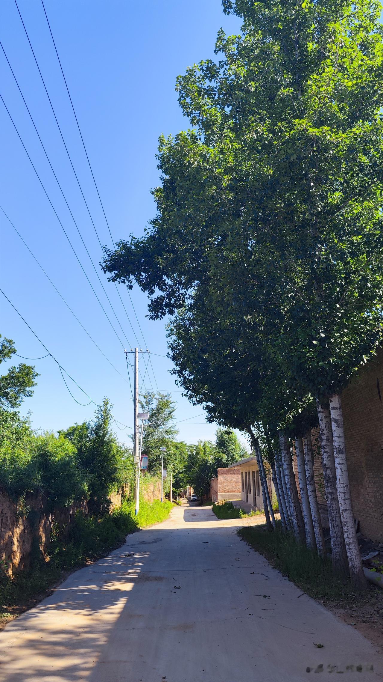 邂逅乡村的夏日小景
       家人们，今天撞见超治愈的乡村风光！街道安安静静
