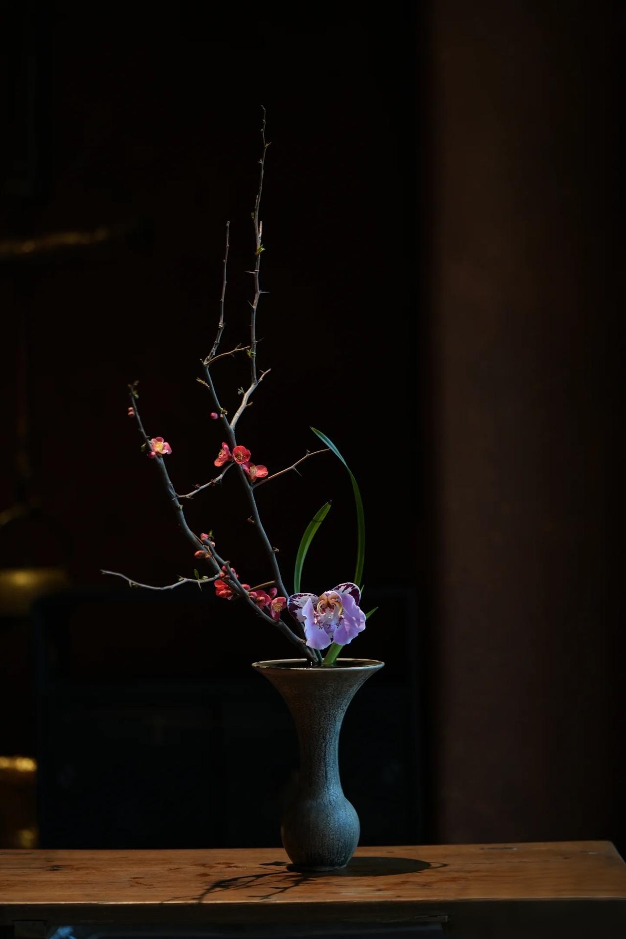 什么才算真心朋友不夹杂任何利益关系，带有默契、能互相理解、彼此信任的才算真心朋友