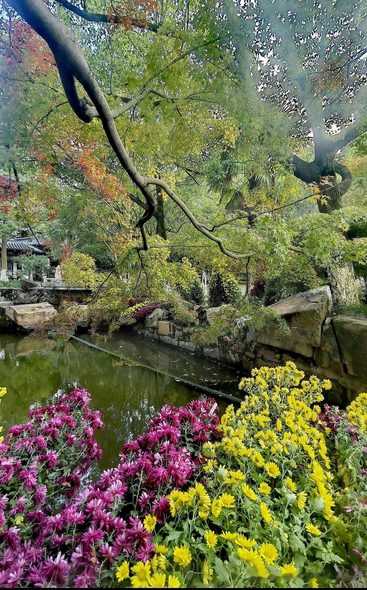 [玫瑰][玫瑰]花是生命的璀璨，叶是生命的脉络。深秋的树叶，就像是大自然书写的诗