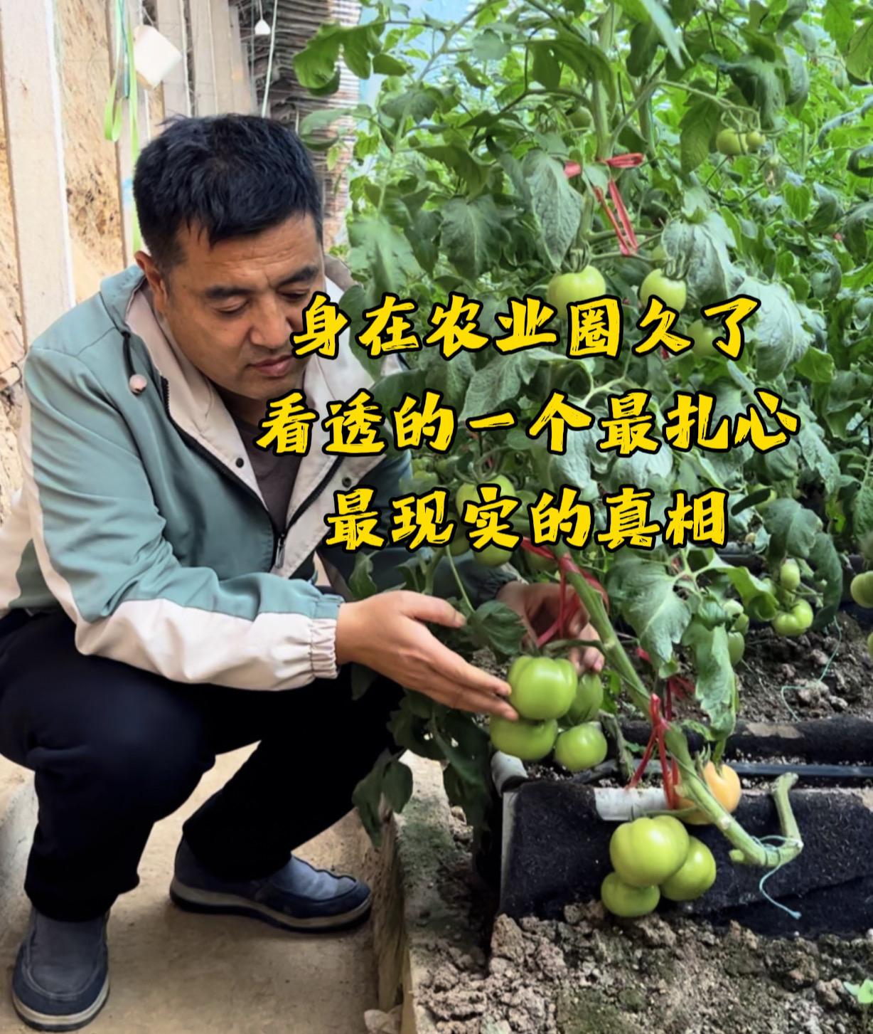农产品价格高低靠天灾，毁一片地就能富一方人

身在农业圈久了，才看透一个最扎心、