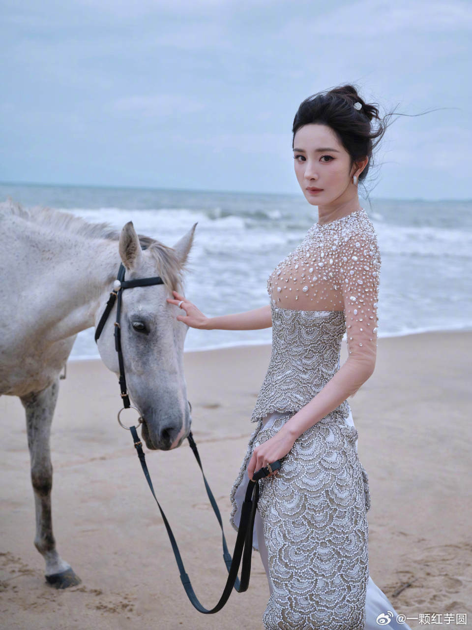 杨幂 Elle出图！圣洁的美人鱼公主🧜🏻‍♀️！ 杨幂ELLE盛典第一个登岛