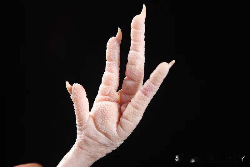 ⁉️⁉️对于央视曝光的“3.15鸡爪”事件，这几天在我身边被炒的沸沸扬扬，请问你