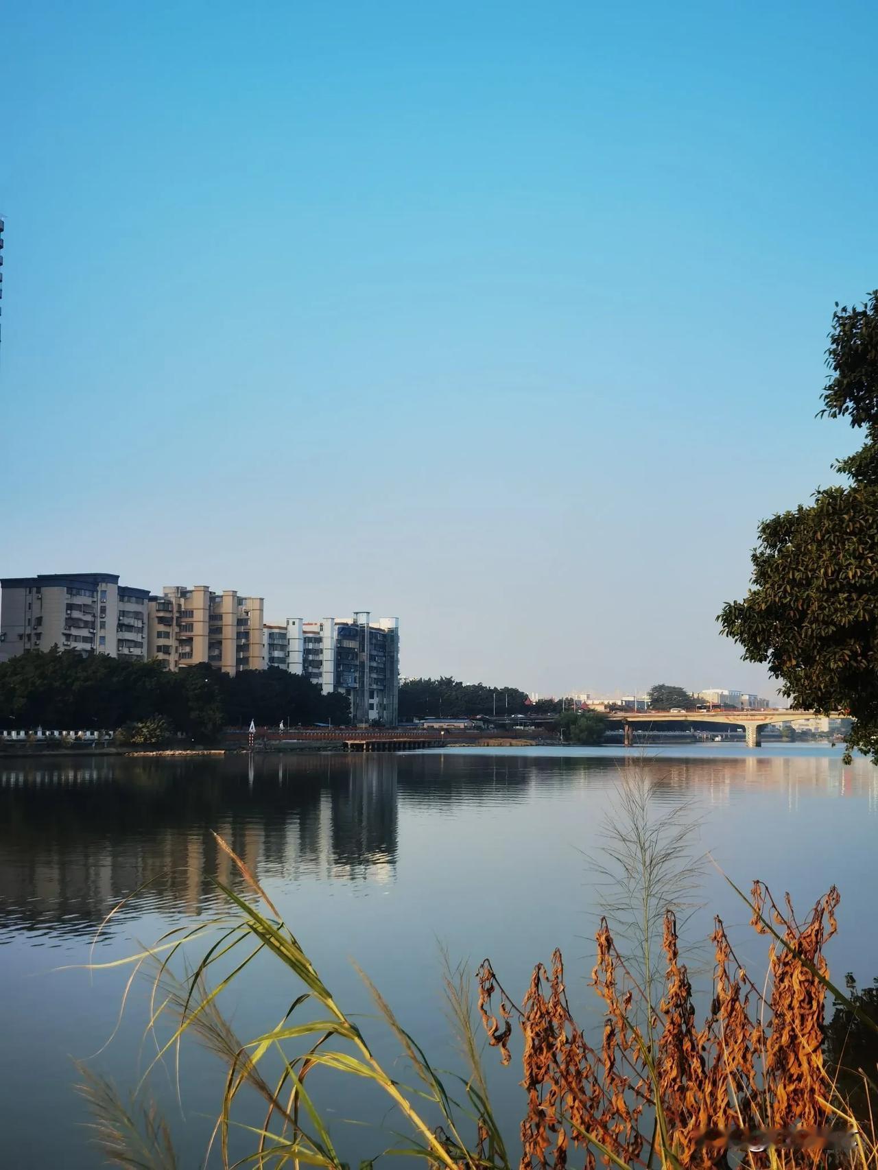 分享一张相册里随手拍的天空现在的广州天气，晴朗的天空，好舒服！[比心]