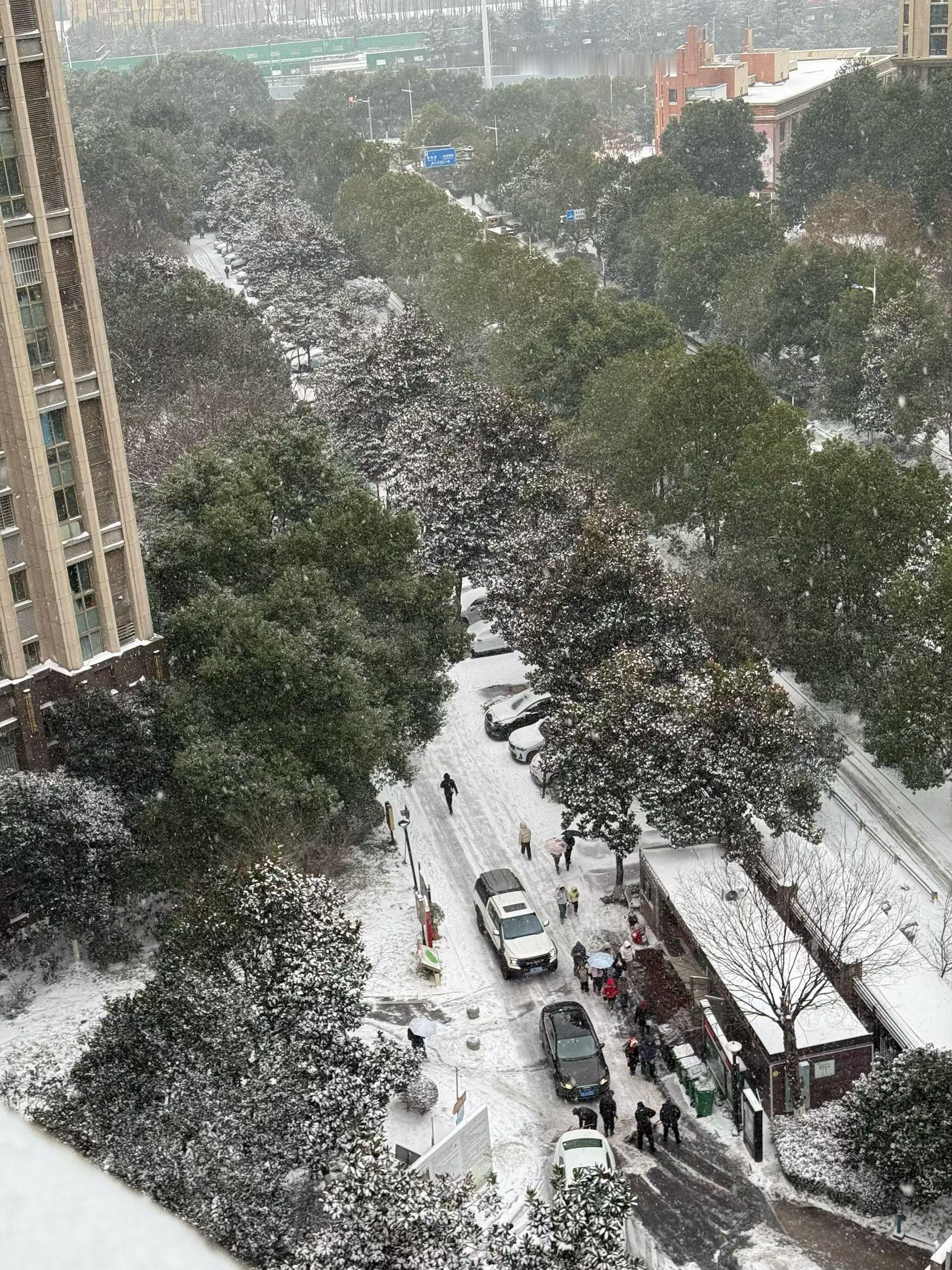 🧊²⁰²⁶/₁.₂₀🧊大寒已至，年味渐浓时凛凛寒风吹，细嗅有春意蛰伏一个冬季