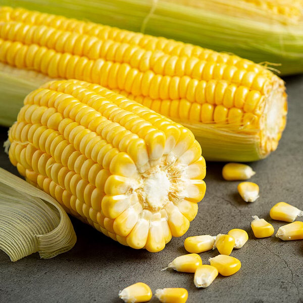 【JD到手价15.90】宝菜玉米新鲜黄甜玉米带皮水果玉米棒低脂减肥早餐 整箱包邮