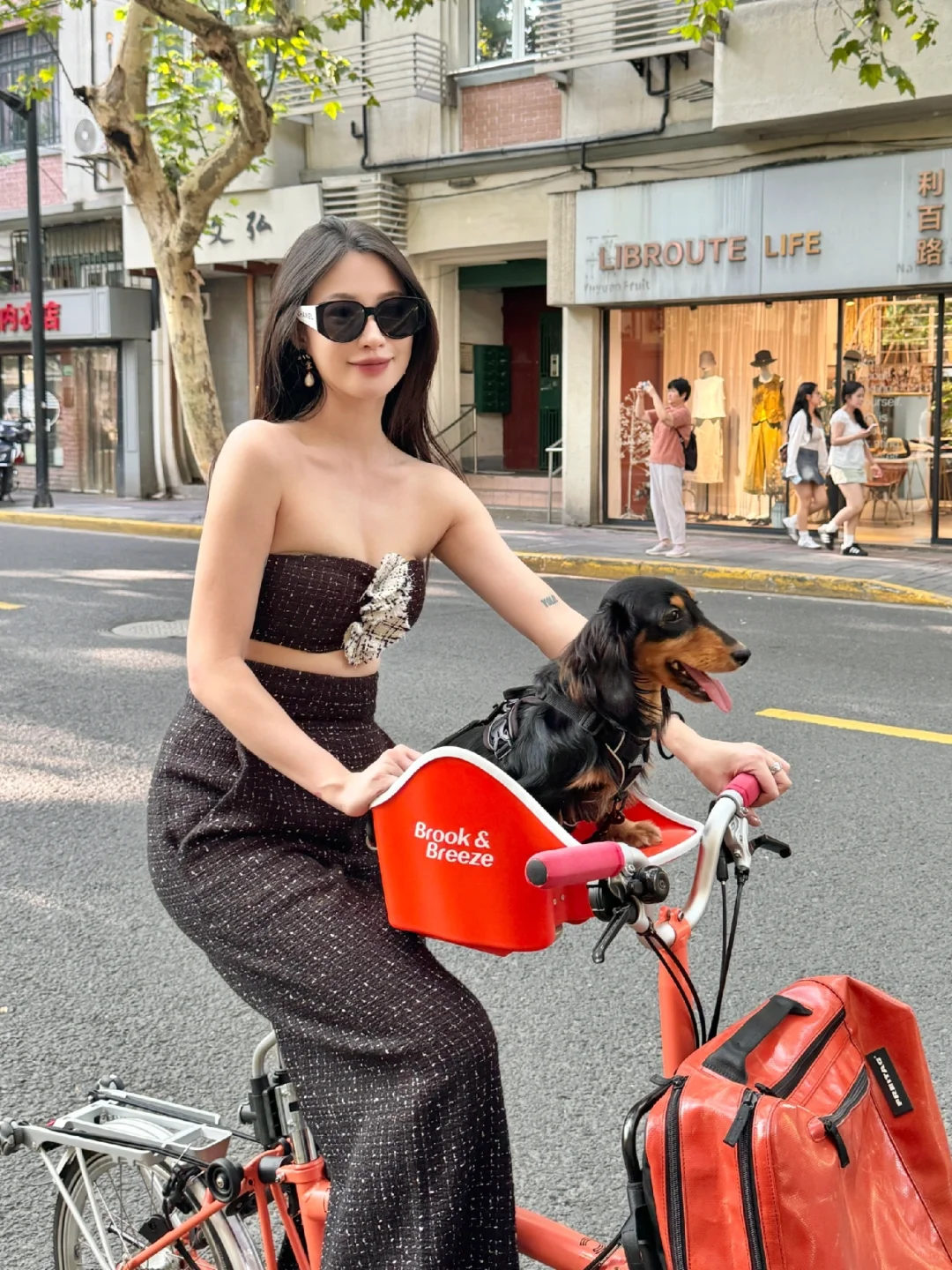 一起感受风！🐶