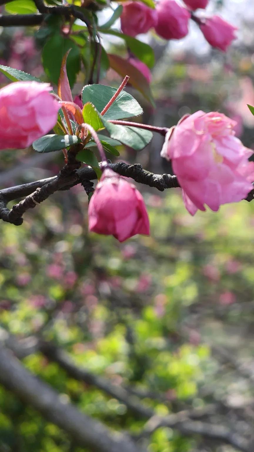 清晨，南京淅淅沥沥地下起了大雨。我穿好雨衣，正打算骑车去上班。当我从屋里出来时，
