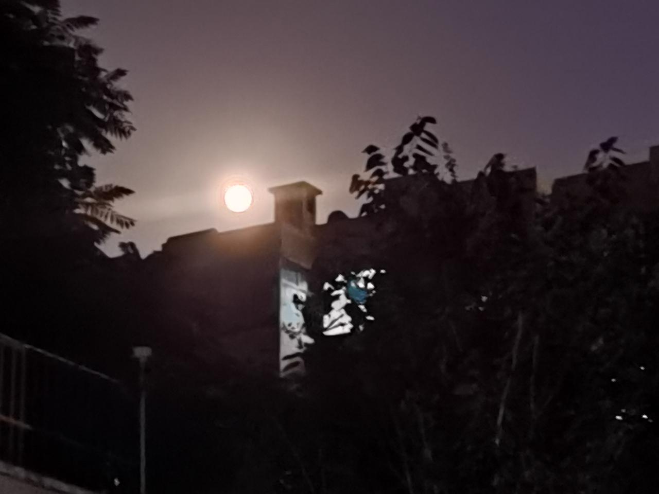 月亮升起，
世界被染得，
好温柔，
好静谧。
和平的中国，
静悄悄。