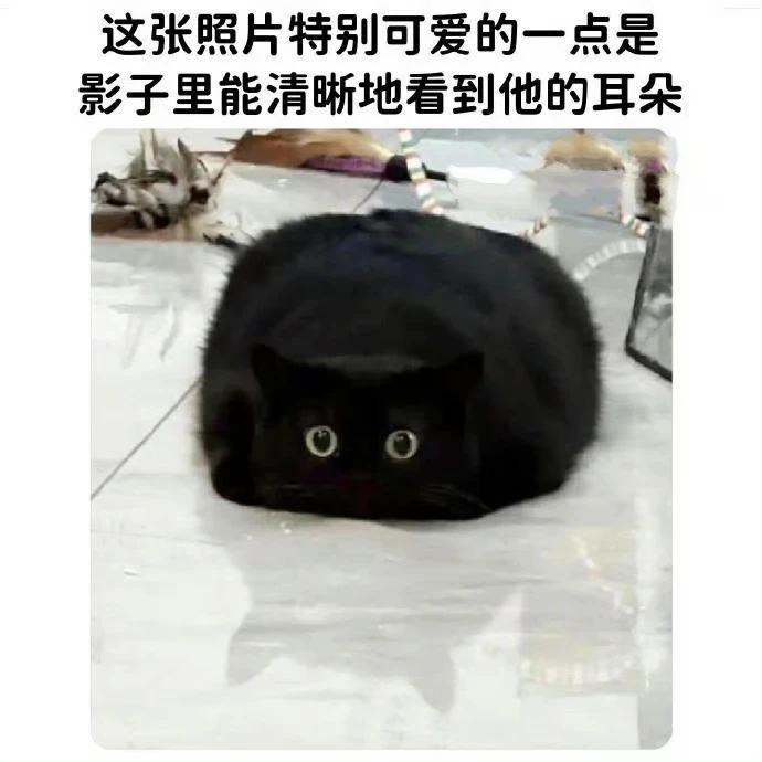 天啊啊啊好可爱啊小煤球的耳朵 