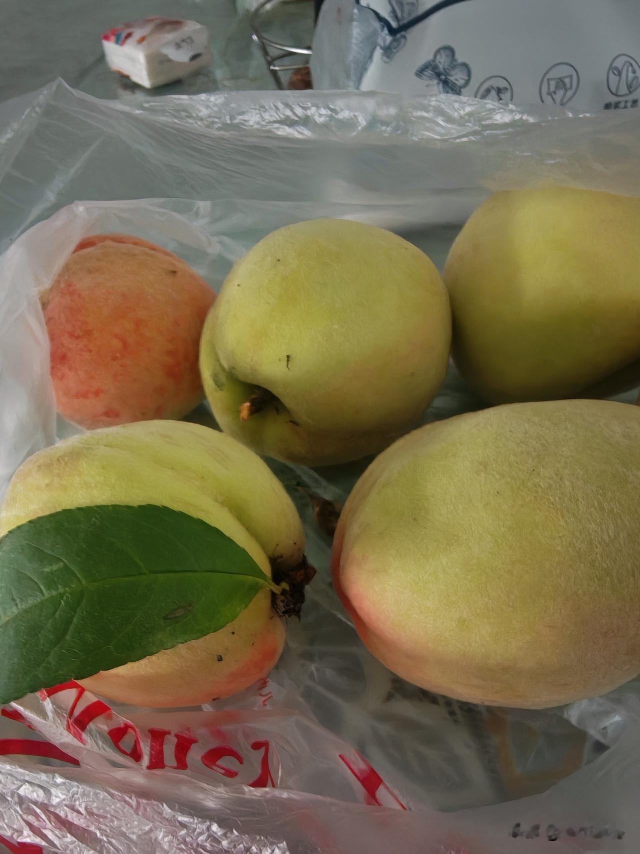 桃子已经开始大量上市了，到水果店去问价格，什么水蜜桃、蟠桃、黄桃等各种名堂的桃子