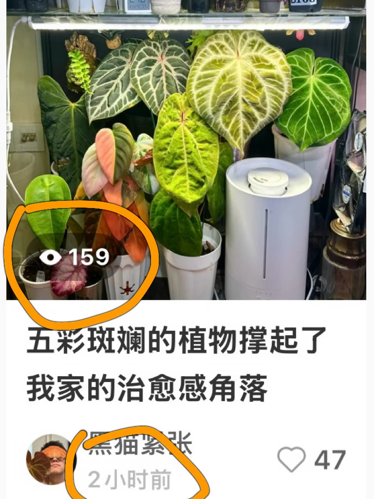 本以为过了618，流量会好点