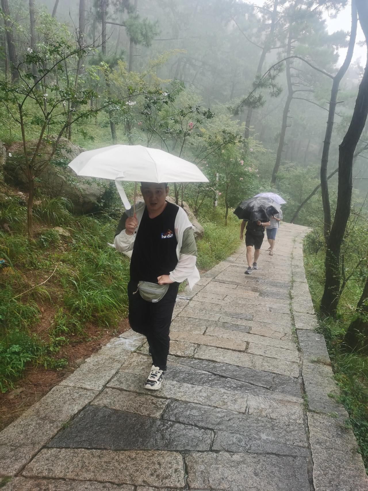 石阶小径斜,沿路有异花，忽见小雨落，半山有人家。
