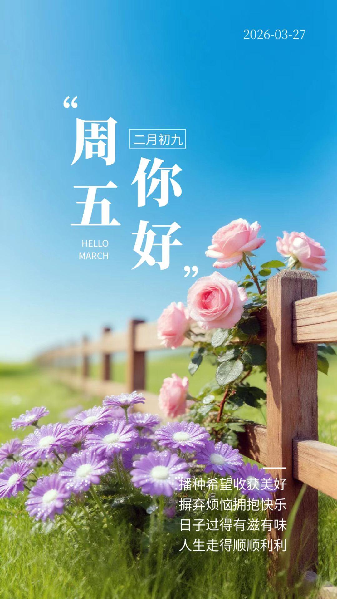 生活就像一场奇妙的旅程，同行的人至关重要。我有个朋友，特别阳光乐观，不管遇到啥难