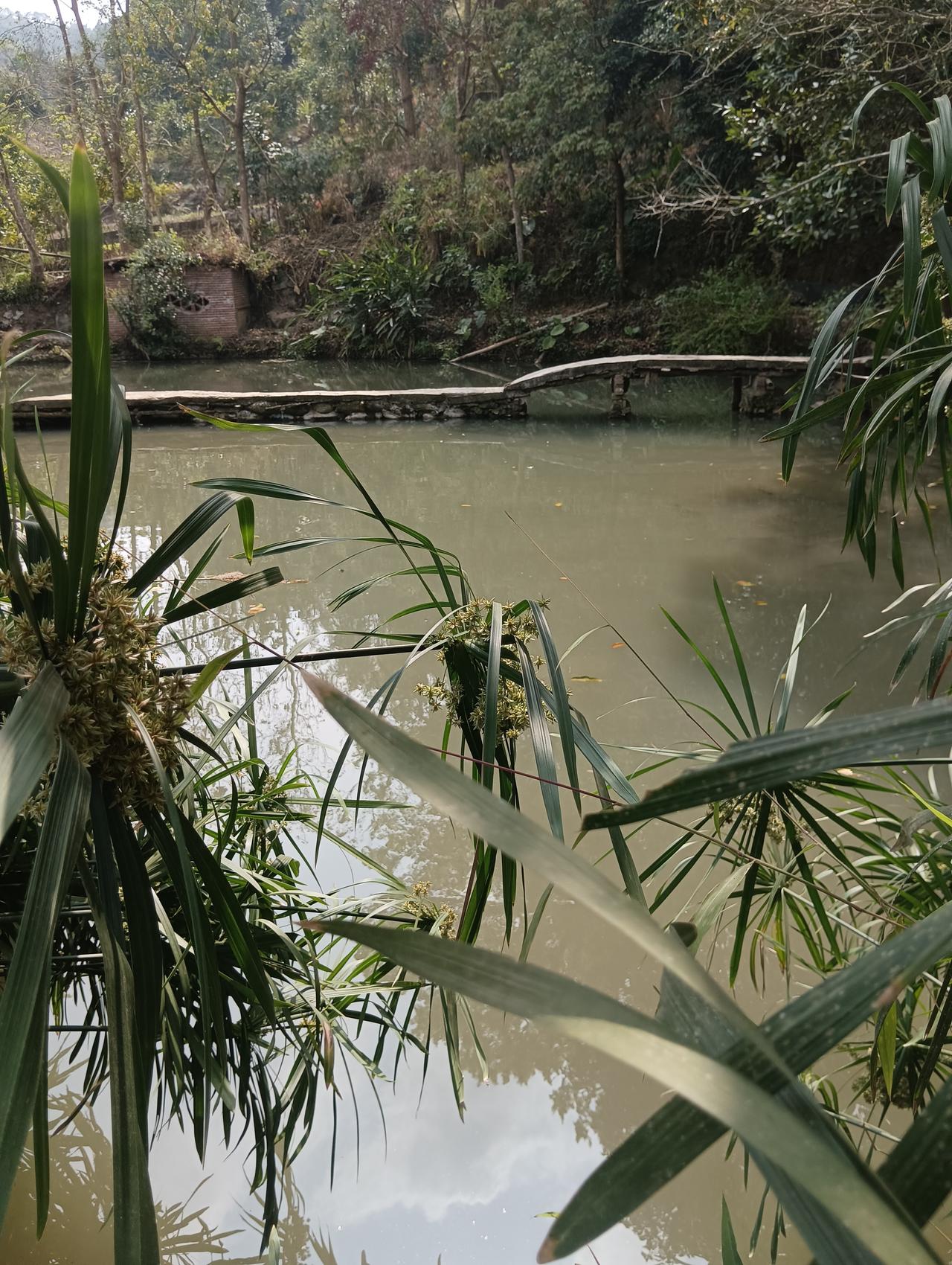 小路两旁，枯草间藏着点点新绿，阳光温柔地洒在屋顶和田埂上，暖洋洋的。炊烟从烟囱里