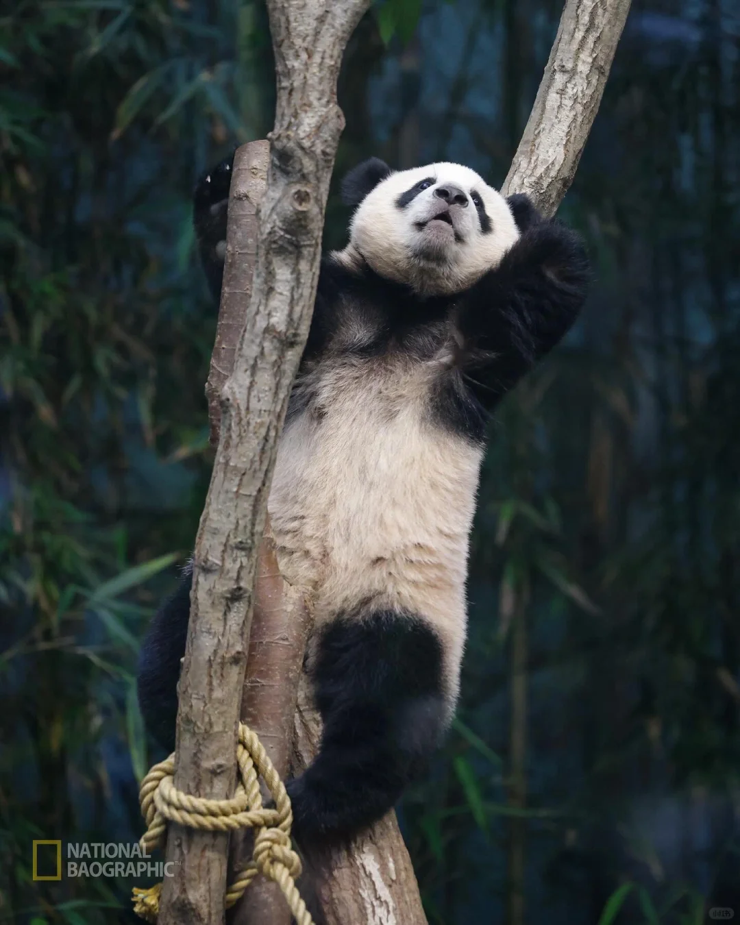 “天那！怎么又要上班了！🤣”