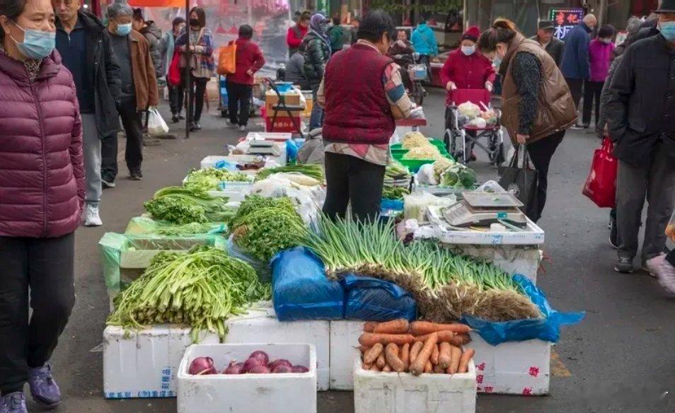 蔬菜价格大跳水 冬天，北方市场上大多是反季节蔬菜，即便北方有暖棚种植，但很多蔬菜