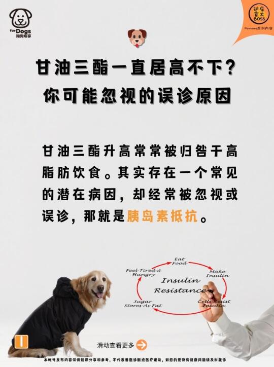 甘油三酯水平偏高?你要注意的那些……