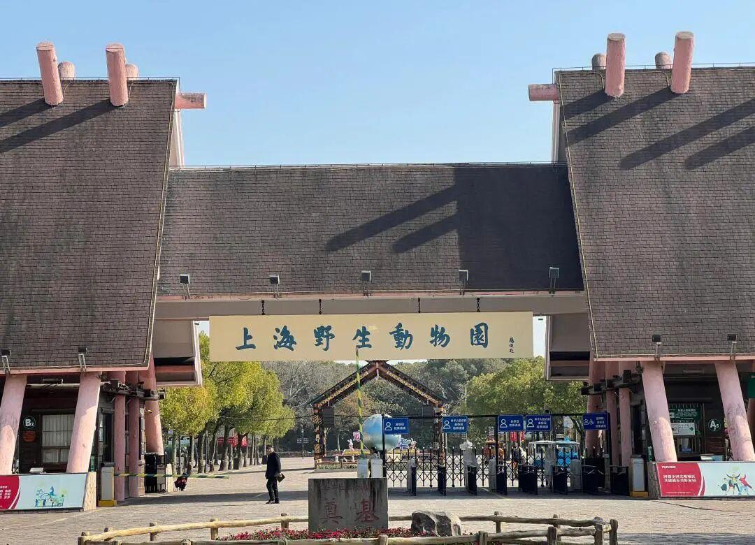 福利提醒！生肖属马或8月生日，上海野生动物园免费玩！

上海野生动物园最近官宣了