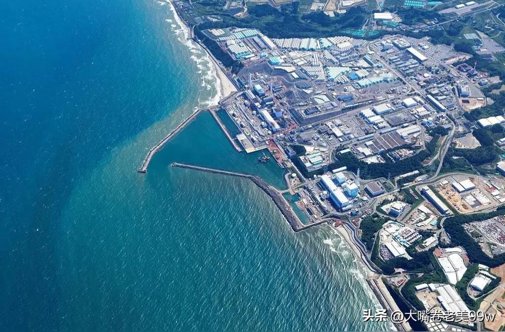 日本核污水排海，就好比坏人故意往养鱼池里扔核辐射物，尽管鱼虾类不会被当场毒死，但