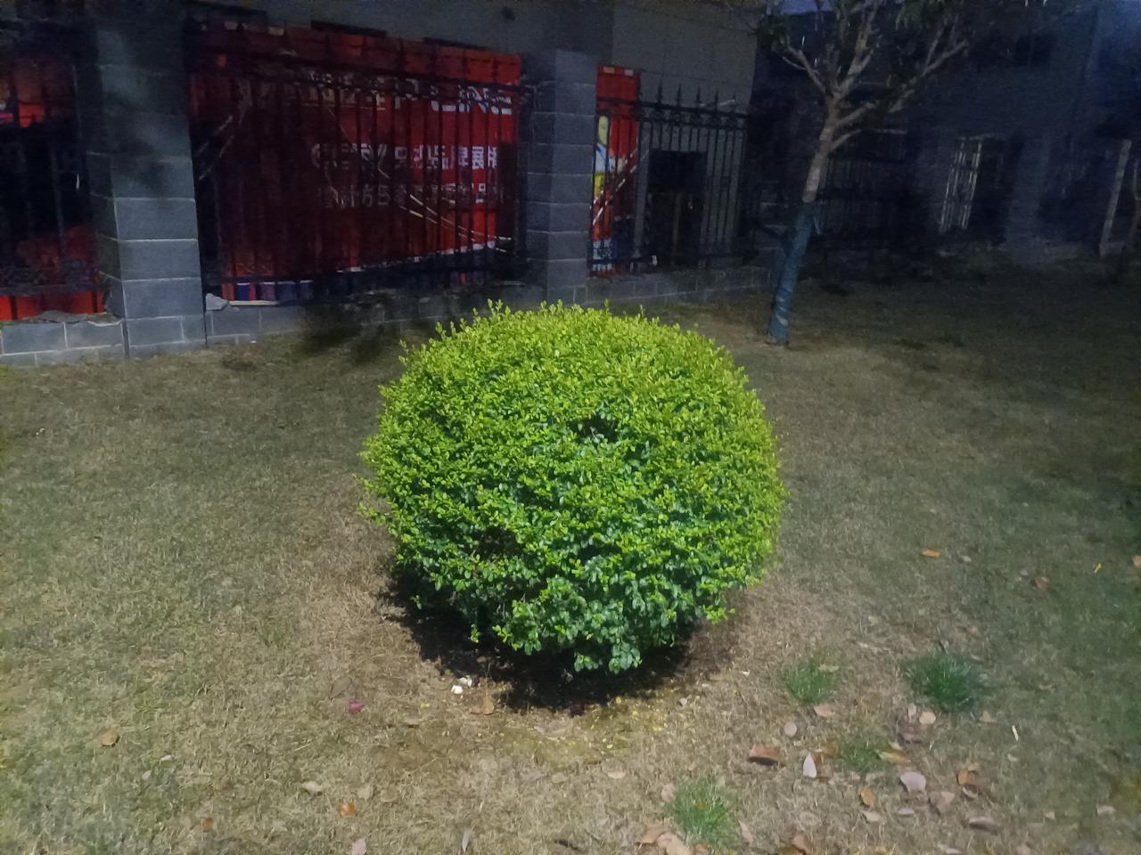 好老师从不是单一的模样，却有着共同的温度与担当。他们不仅传授知识，更点亮心灯，是