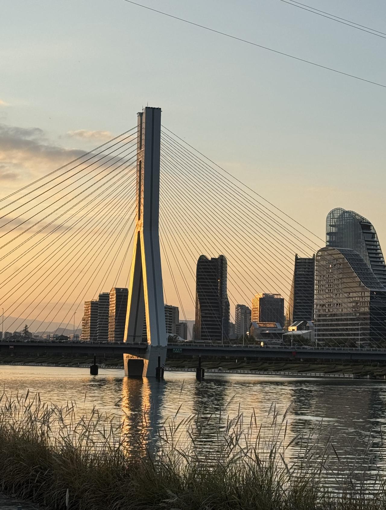 【丽水中小学寒假时间公布！寒假来了 】1.全市义务教育阶段学校2025学年第一学