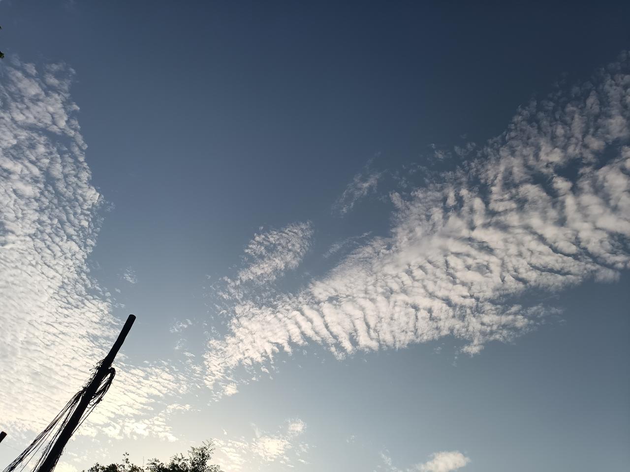 湛蓝天幕下，鱼鳞状白云舒展如浪，夕阳柔光漫洒，衬得云絮轻盈，风与天色皆温柔。