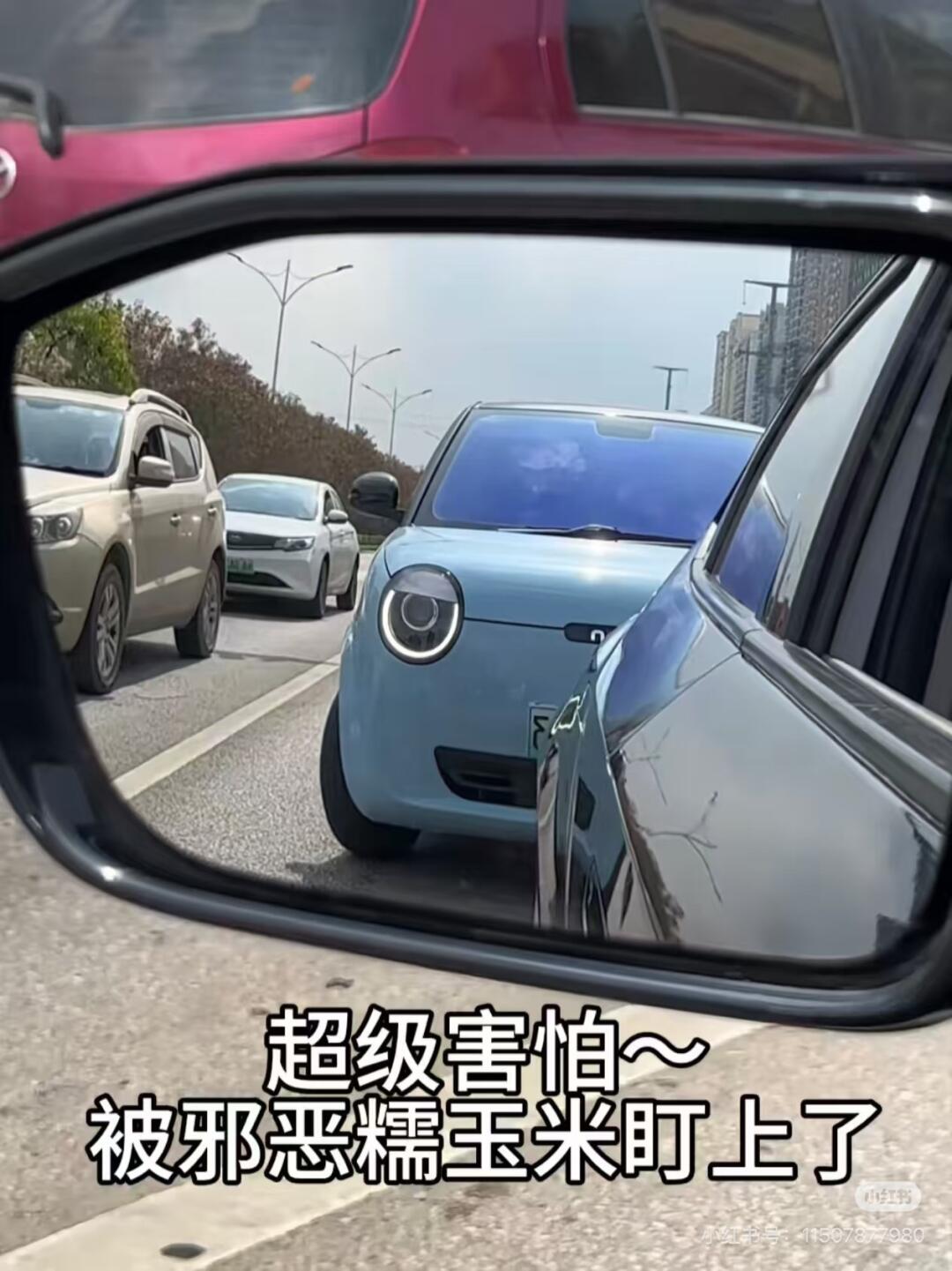 金华义乌，糯玉米商家我~~~